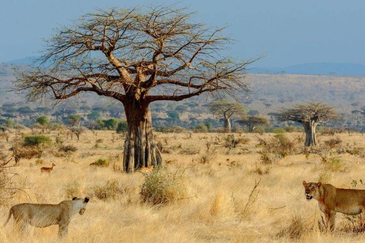 Tanzania during October